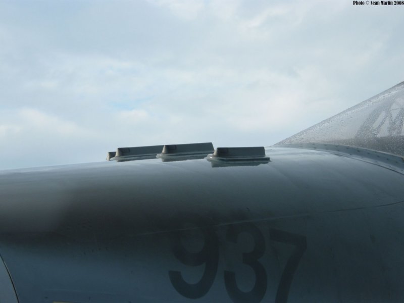 cf188b18893728.jpg