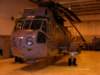 seaking1241633_small.jpg