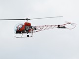 IMG_0982