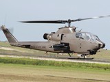 IMG_9769