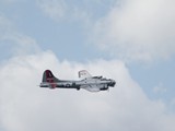 IMG_6375