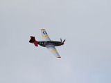 IMG_6428