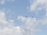 IMG_6511