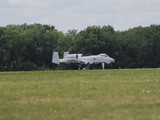 IMG_6798
