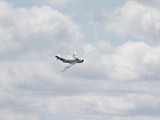 IMG_6961