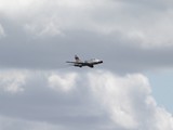 IMG_6986