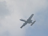 IMG_7108