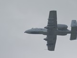 IMG_7119