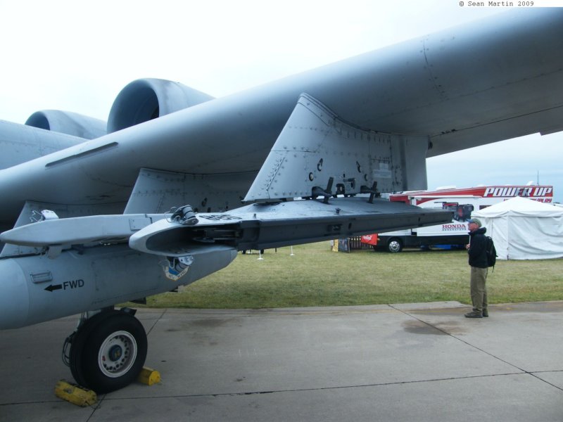 a1079142.jpg