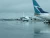 an1242_small.jpg