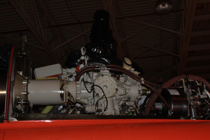 aw139cgynl6.jpg