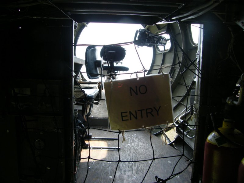 b17n3703g10.jpg