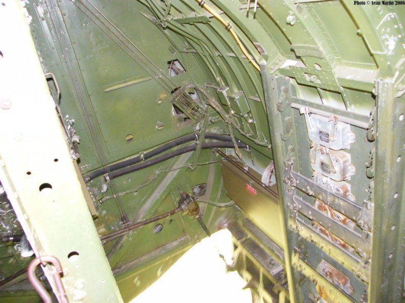 b17n3703g16.jpg