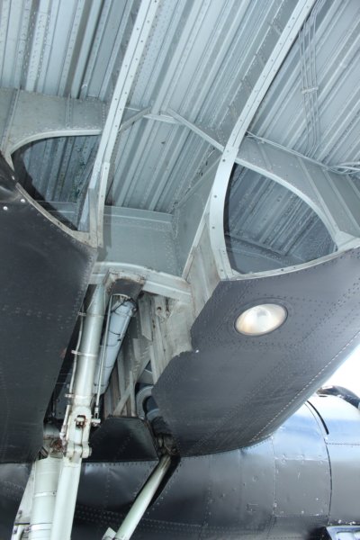 b24an2492741.jpg