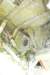 b575214265_small.jpg