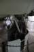 bcambolingbrooke10_small.jpg