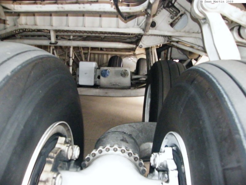 c5m8600136.jpg