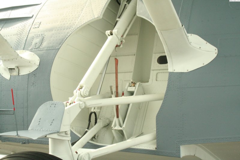 pby6n9521c2.jpg