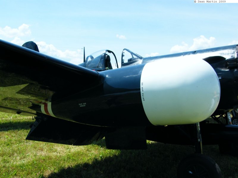 f4u5nn45nl7.jpg