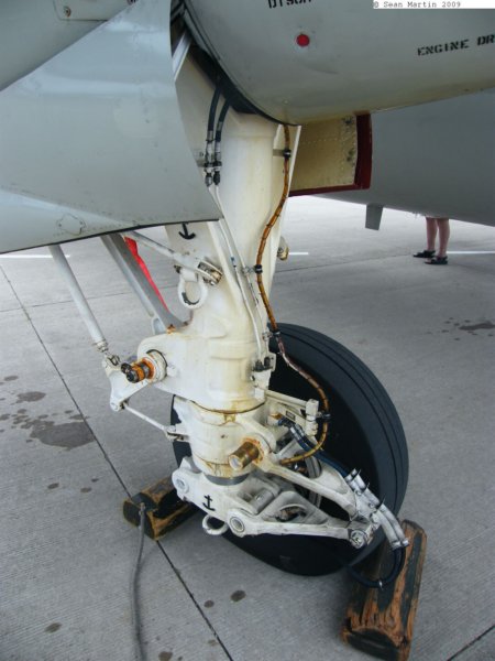 e21636968.jpg