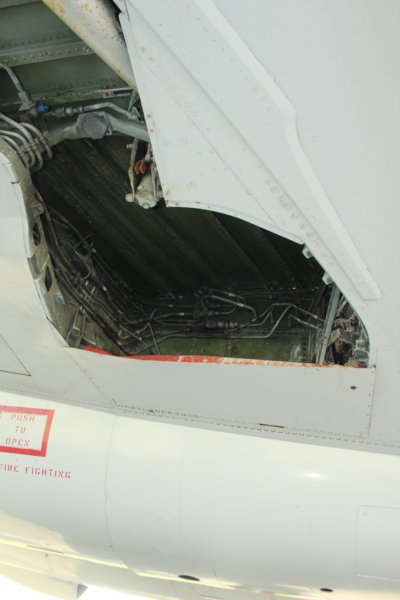 cf1011010454.jpg