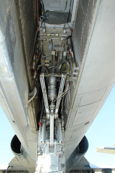 cf5freedomfighter5.jpg