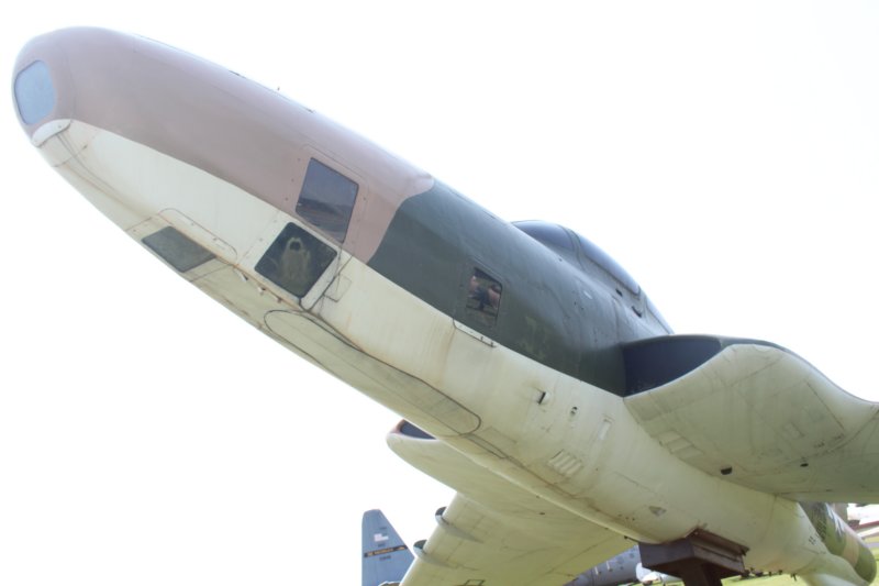 rf845118966.jpg