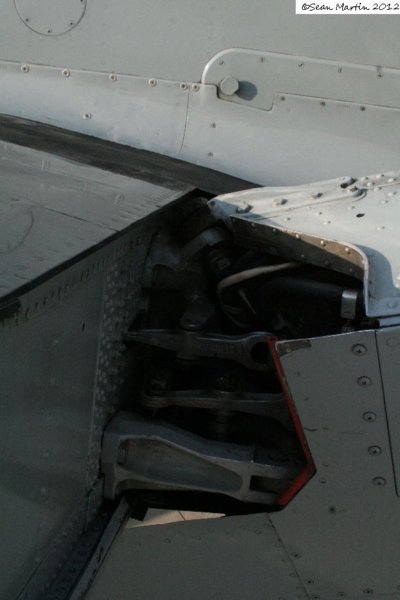 fireflycgbdg15.jpg
