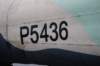 cmfhampden21_small.jpg