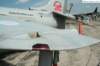 harriern944227_small.jpg