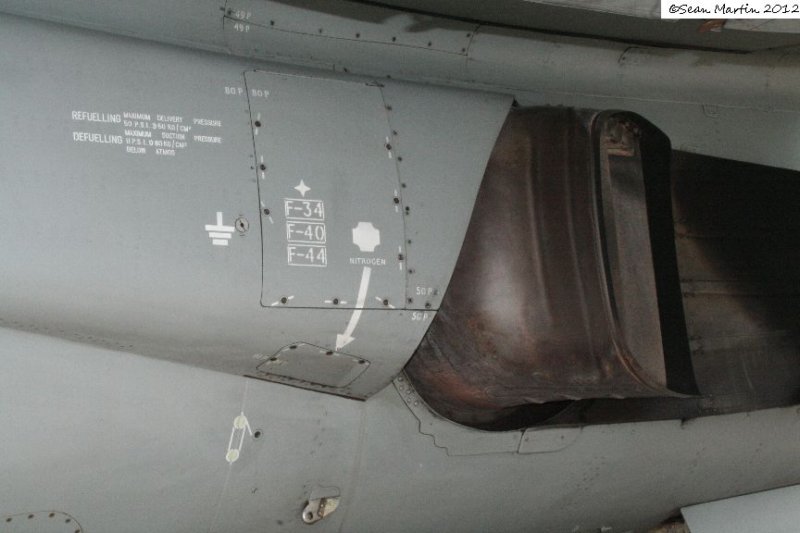 harriern944229.jpg
