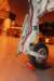 hawk15520913_small.jpg