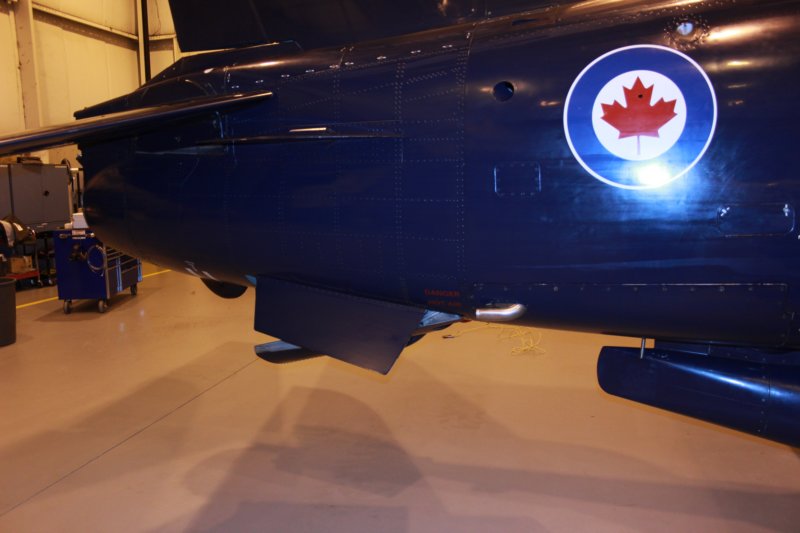 hawk15520922.jpg