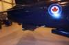 hawk15520922_small.jpg