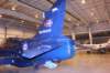 hawk15520929_small.jpg