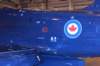 hawk15520930_small.jpg