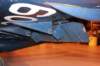 hawk15520933_small.jpg