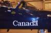 hawk1552095_small.jpg