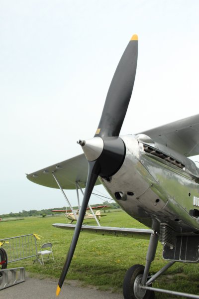 hindl718019.jpg