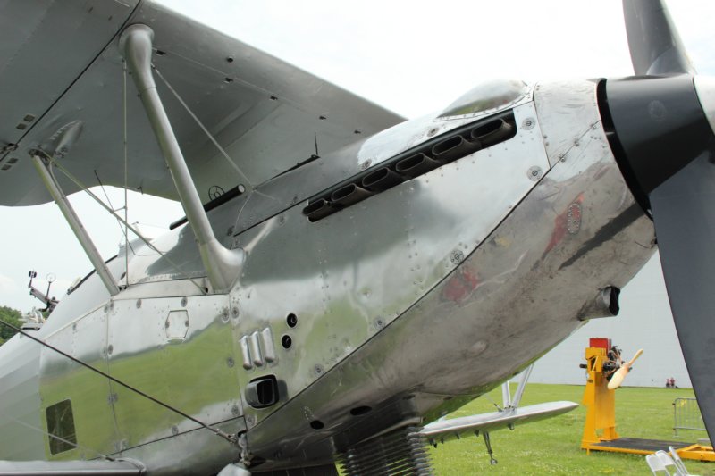 hindl718021.jpg