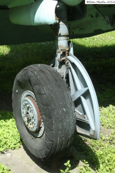 polishil2il1011.jpg