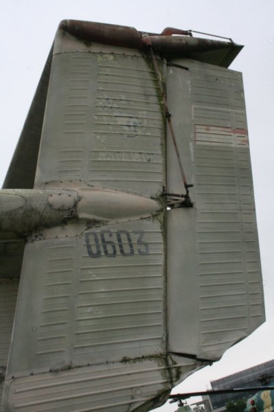 m15060310.jpg