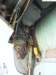 mig21n21mg7_small.jpg