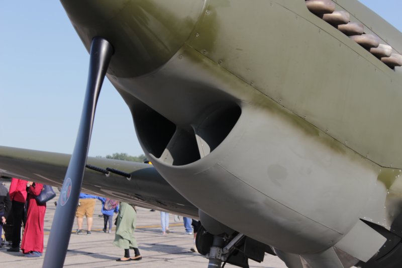 p40bn284cf3.jpg