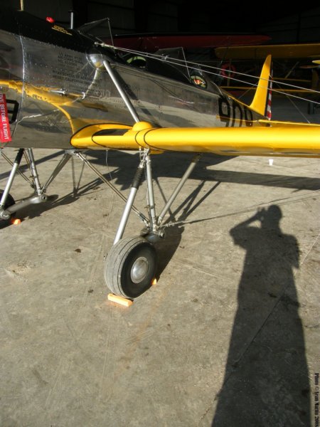 pt22n531463.jpg