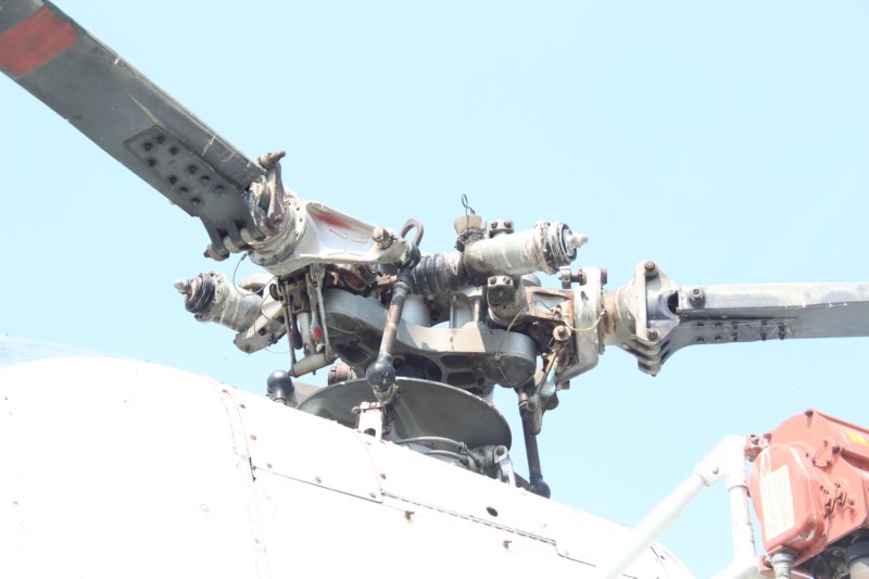 h5214663.jpg