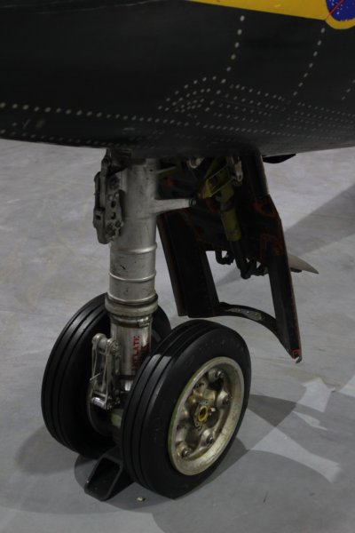 x155666717.jpg