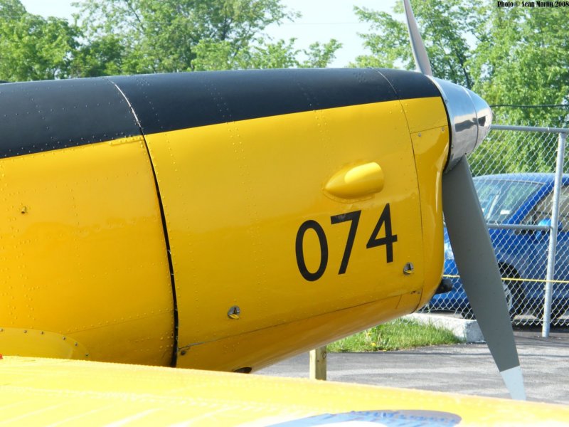 chipmunkcfbxg4.jpg