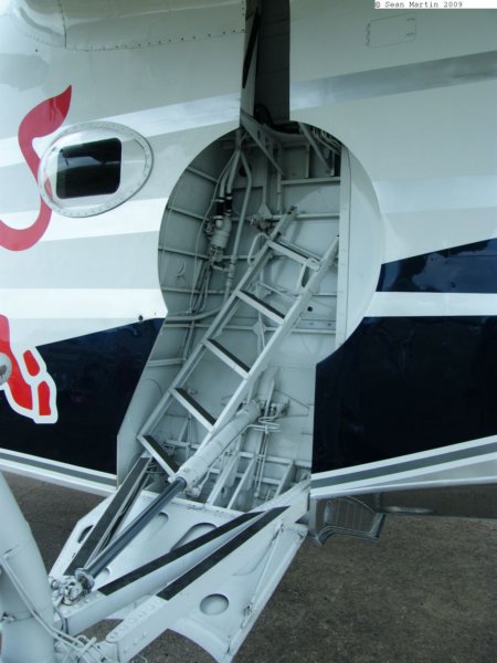 albatrosn29853.jpg