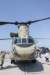 chinook10088134_small.jpg